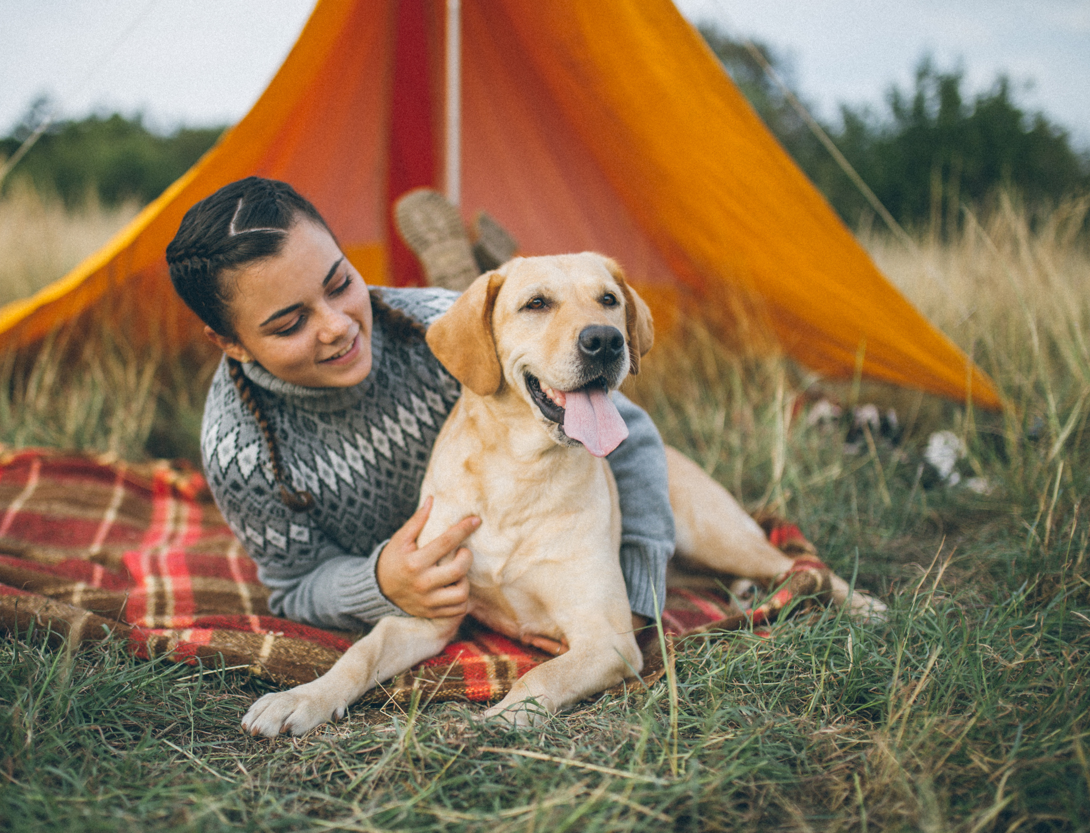 Camping and playing with dog